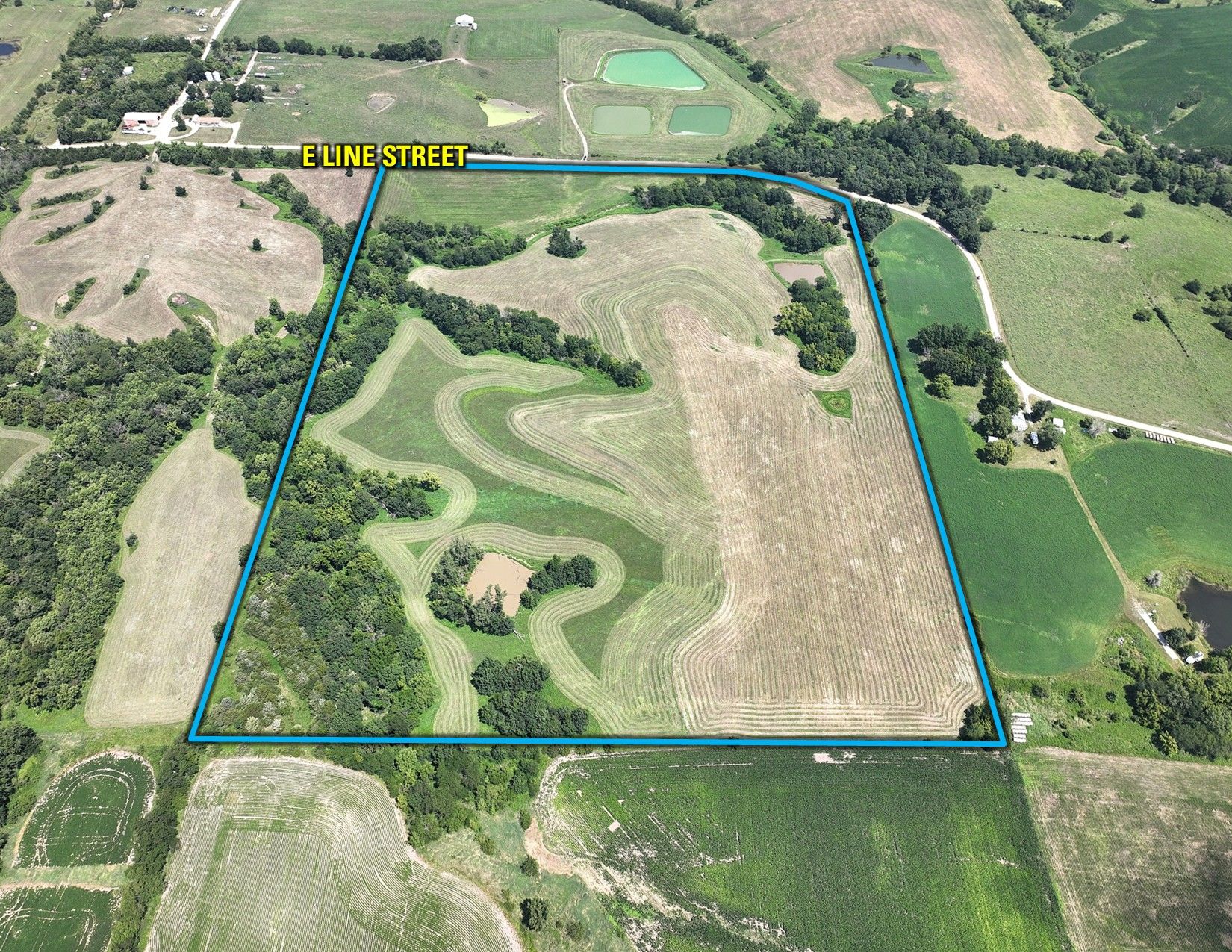 Listing #19582